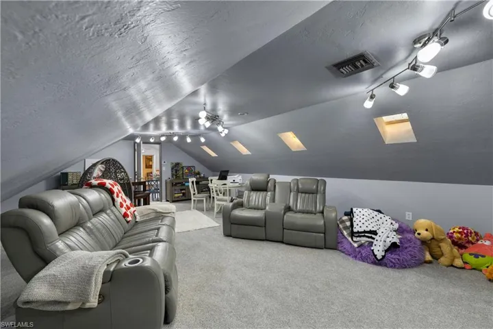 Another view of the home theater room with lofted ceiling and skylights