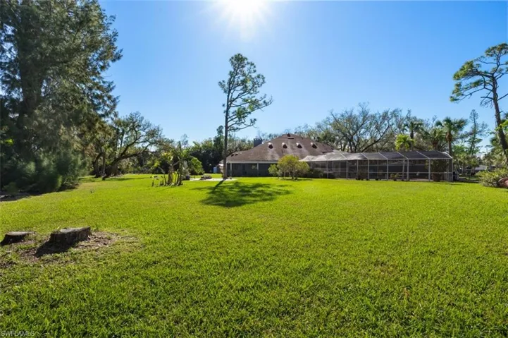 View of large back yard