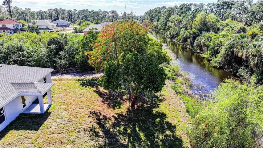 Backyard Trees And Water Setting!