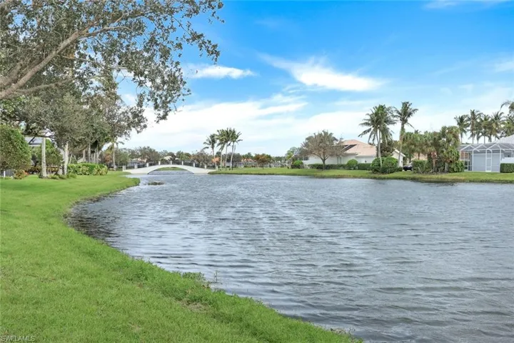 View From Backyard