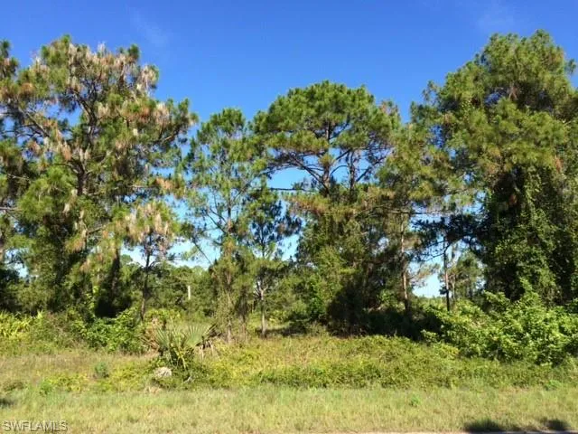 View of nature