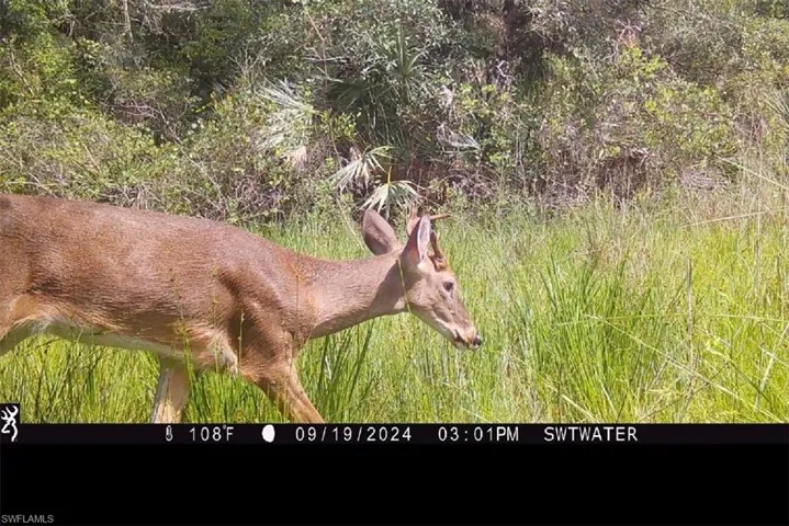 Secretariat Dr, Labelle, Florida 33935