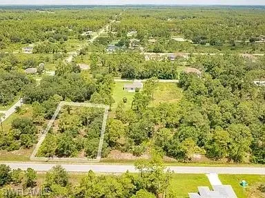 Aerial view of a forest
