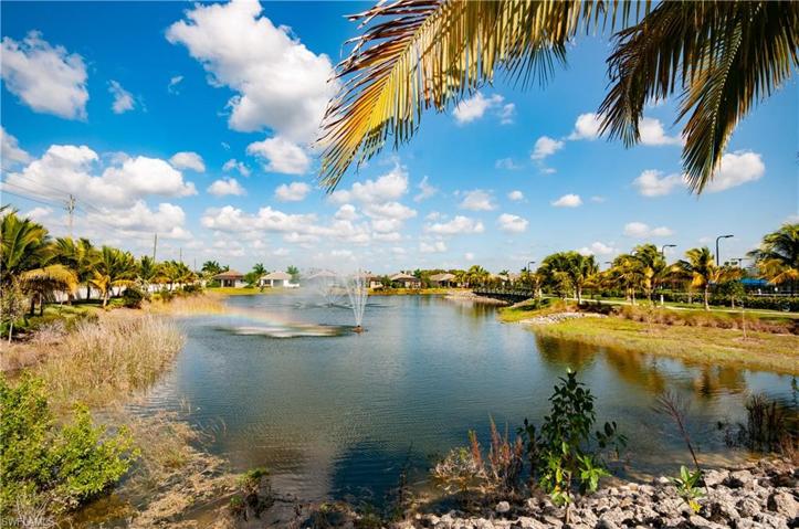 Serene Lake View