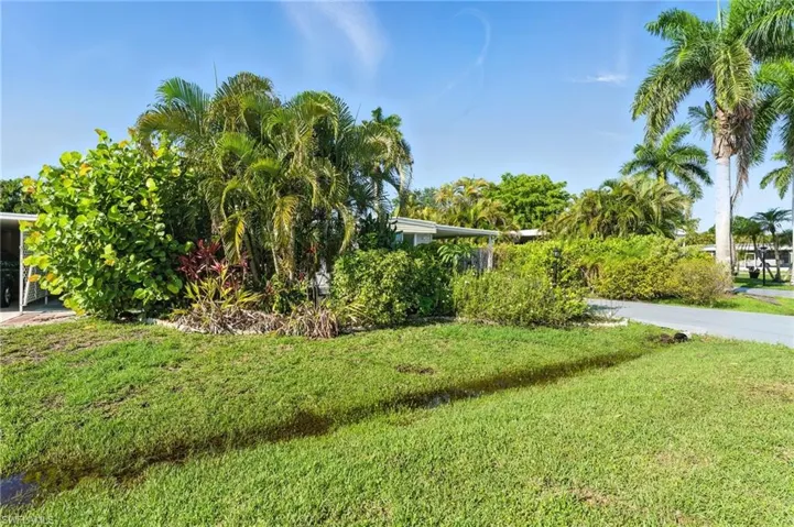View of green lawn