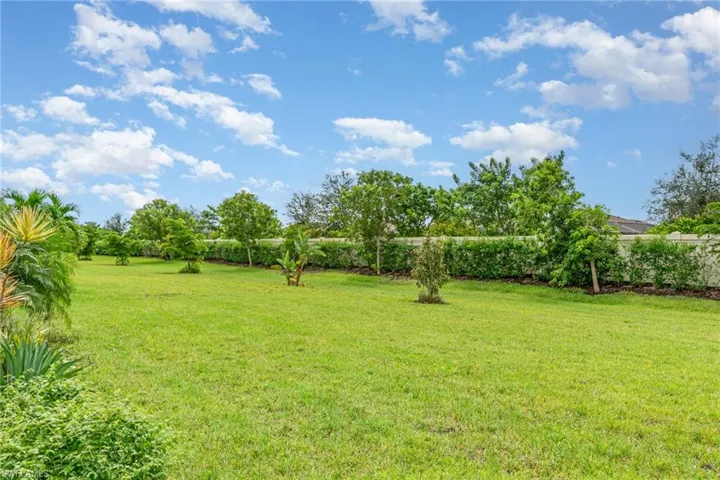 View of grassy yard