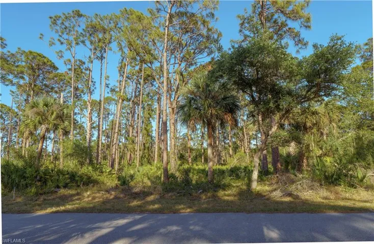 View of street with a wooded view