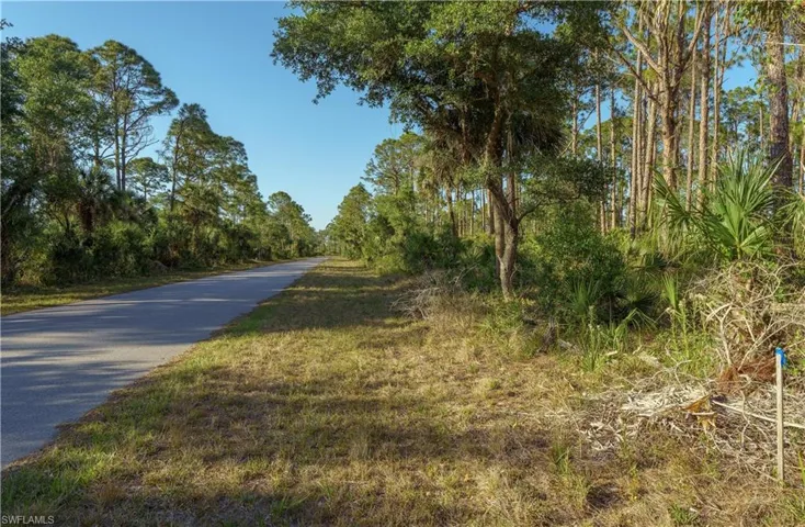 View of road