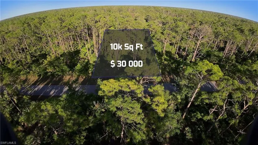 Aerial view with a view of trees