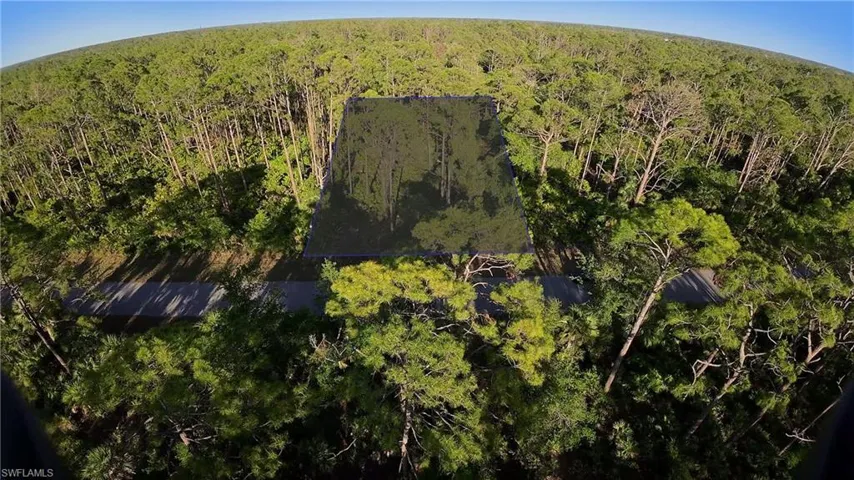 Drone / aerial view with a wooded view