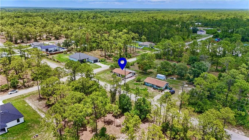 Aerial view of a forest