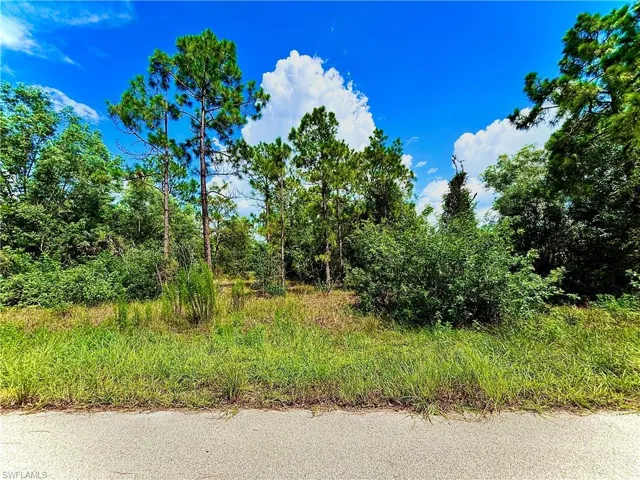 351 Mangonia Ave, Lehigh Acres, Florida 33974