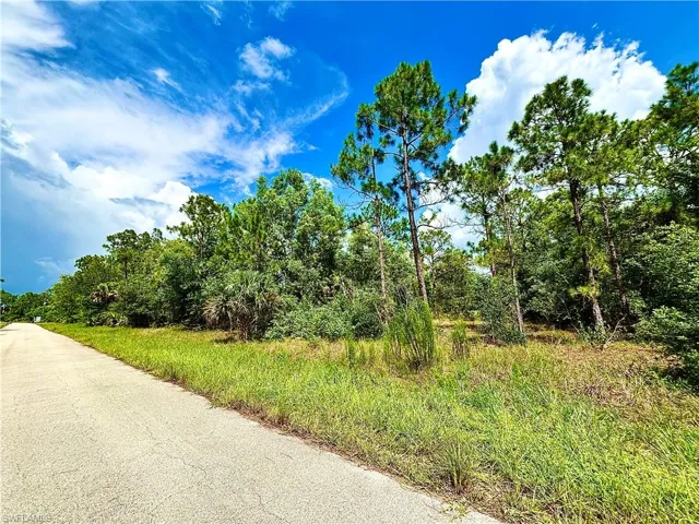 351 Mangonia Ave, Lehigh Acres, Florida 33974