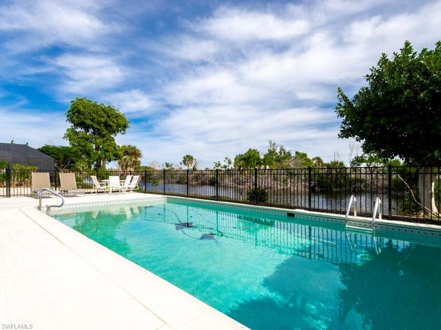 Pool & Patio