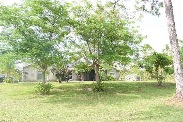 View of grassy yard