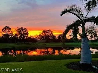 Amazing sunsets