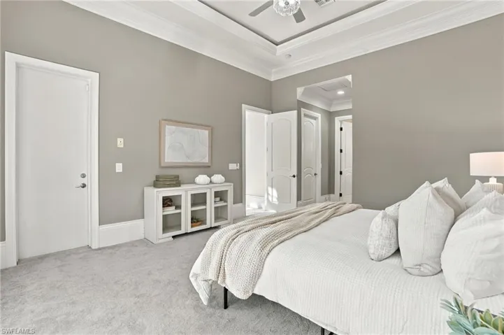 Tray ceiling with crown molding, neutral wall finishes, carpeted flooring, and multi-panel interior doors