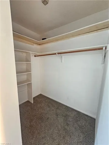 Built-in shelving, hanging rod, high-level storage ledge, and neutral carpet flooring