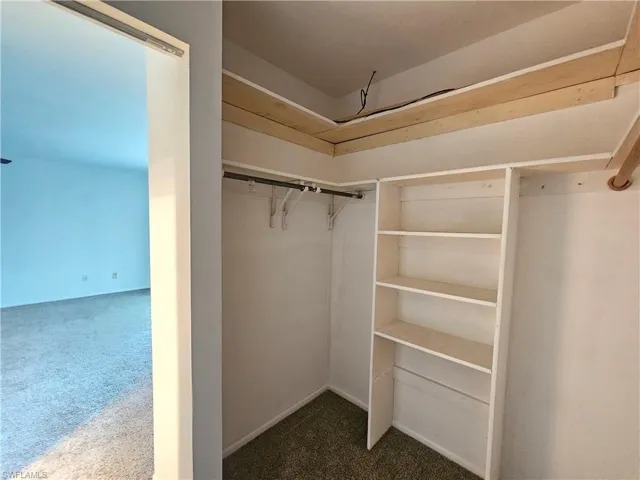 Built-in closet shelving, integrated hanging rods, and carpet flooring