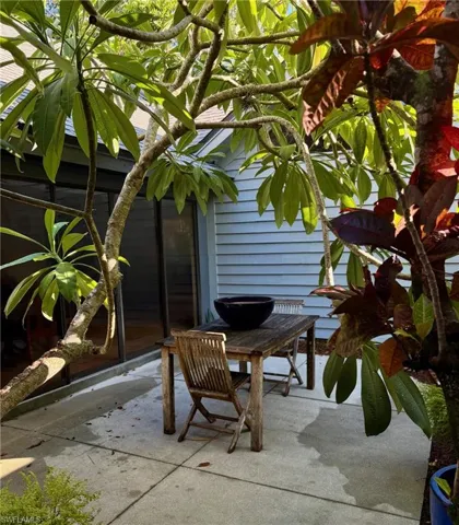 View of patio with the Fangipani is in bloom.