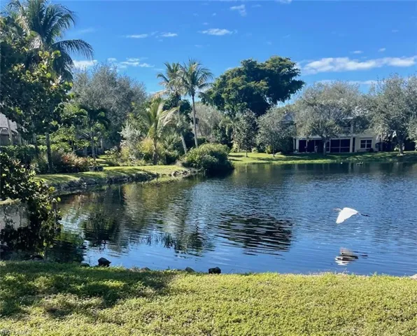 Enjoy the birding.