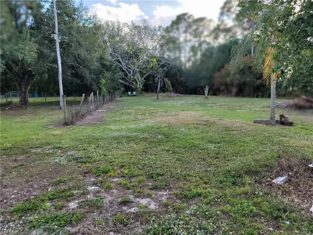 View of green lawn