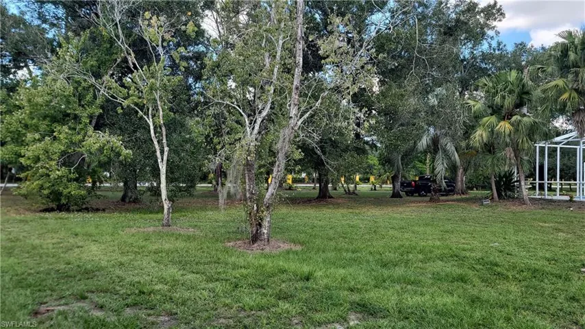 View of grassy yard