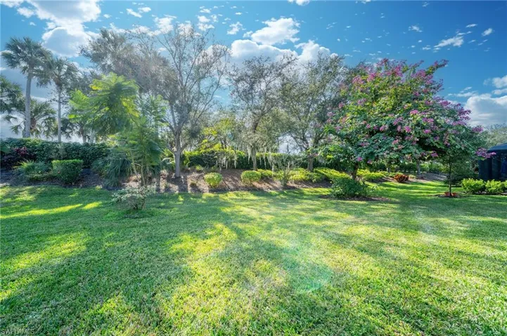 View of green lawn