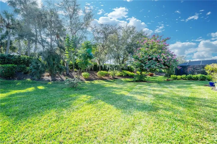 View of grassy yard