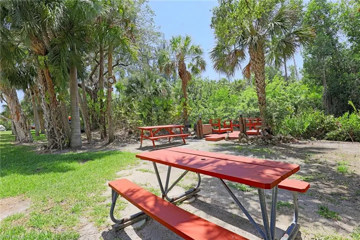 Outdoor area featuring a mix of mature palm trees and lush foliage
