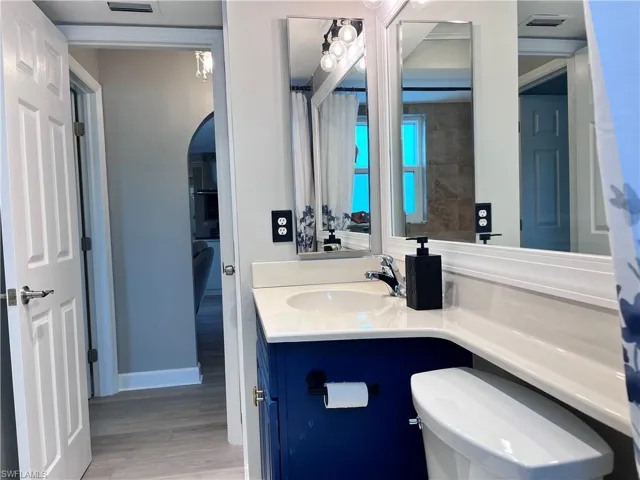 Bathroom featuring wood finished floors and vanity