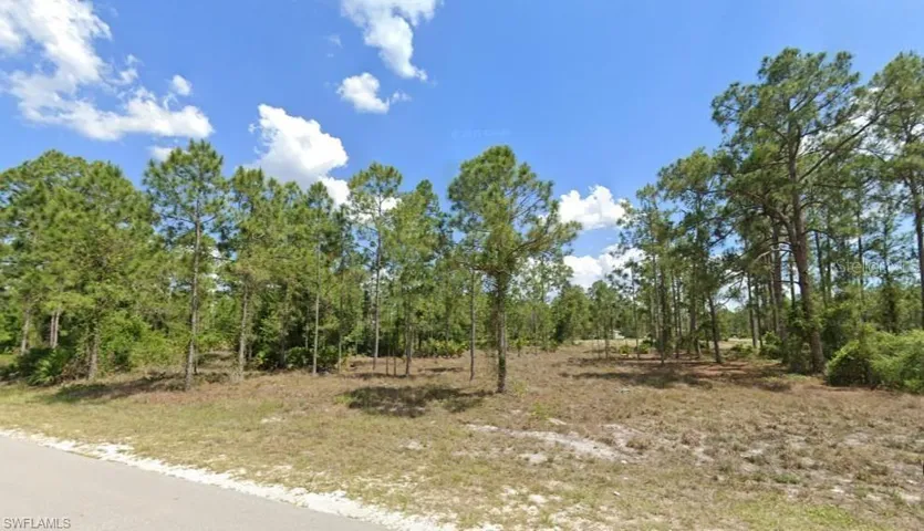 View of undeveloped land