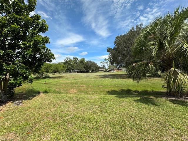 View toward backyard