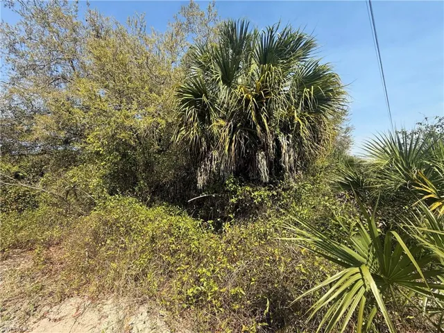 240 S Estribo St, Clewiston, Florida 33440