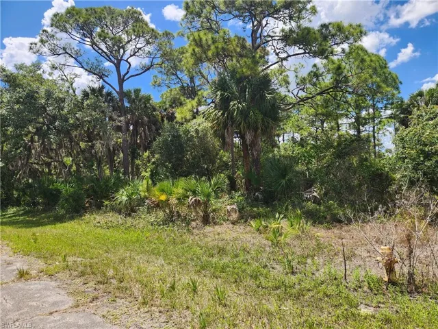 636 Nassau Cir, Labelle, Florida 33935