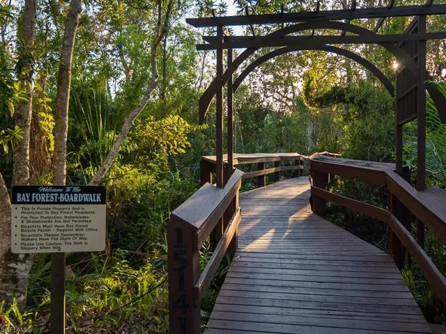 Wood boardwalk winding through lush natural foliage
