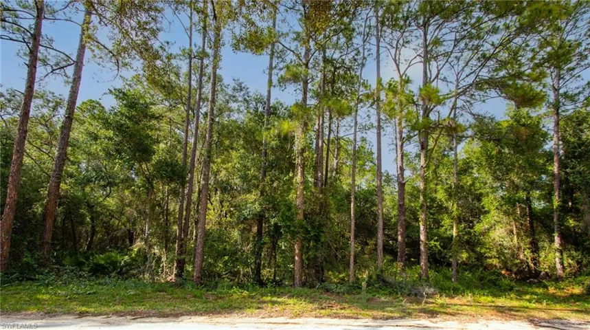 View of wooded area