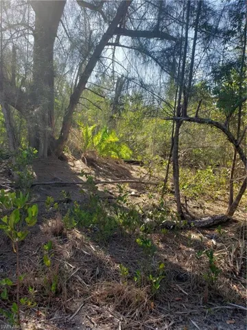 , Other, Florida 33956