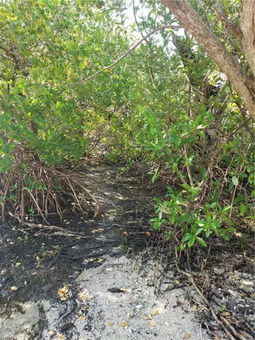 , Other, Florida 33956
