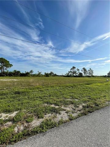 1021 NW 24th TER, CAPE CORAL FL 33993