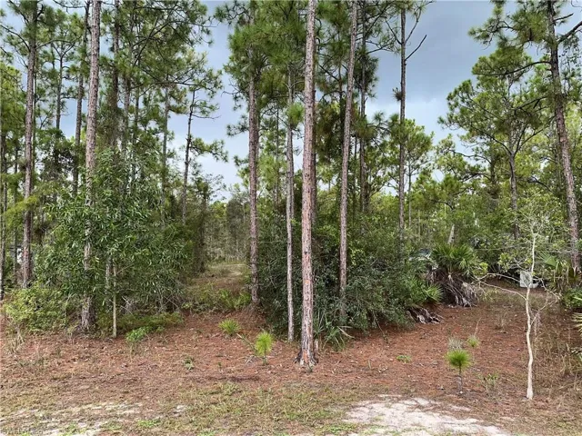 3740 45th Ave Ne, Naples, Florida 34120