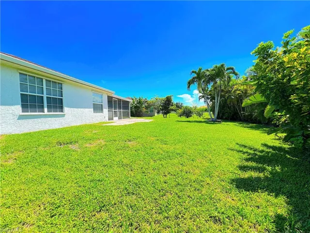 View of backyard