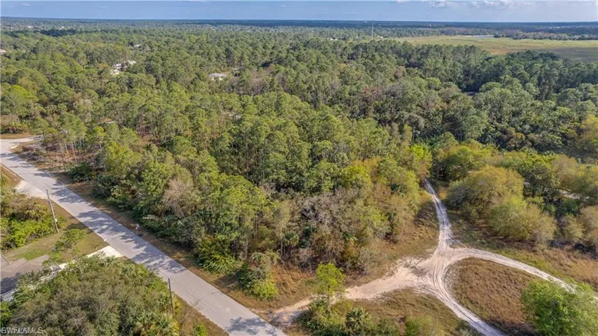 Bird's eye view of a heavily wooded area