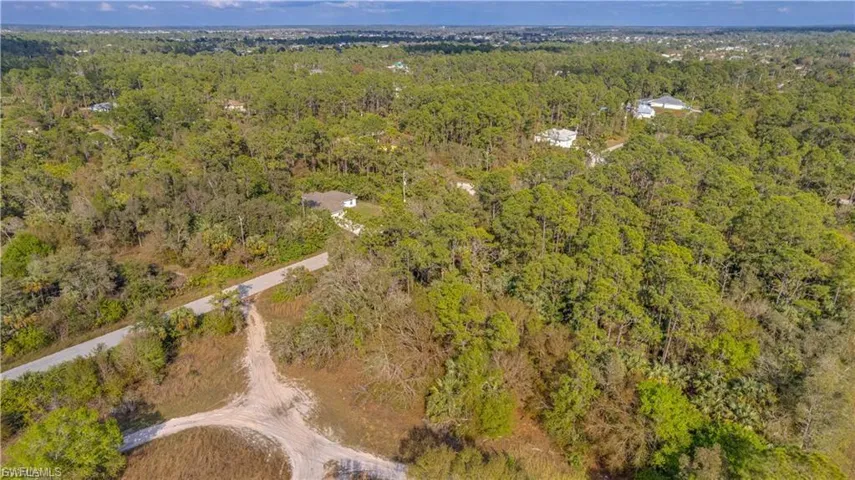 Bird's eye view of a forest