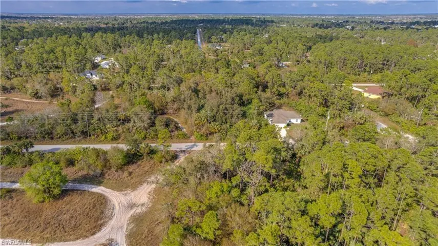 Drone / aerial view of a forest