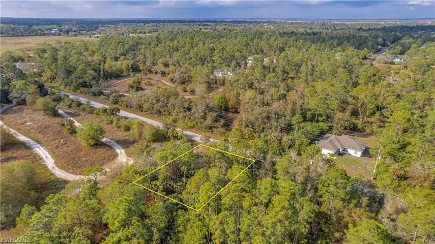 Drone / aerial view of a forest