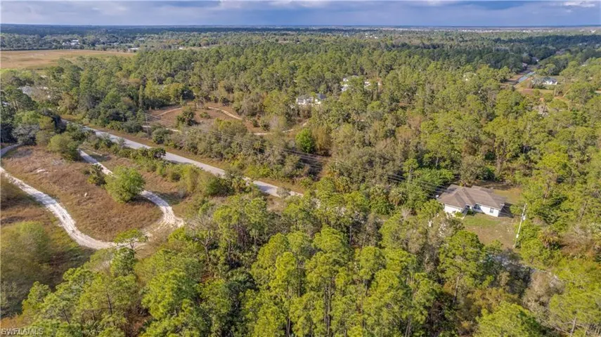 Bird's eye view of a forest