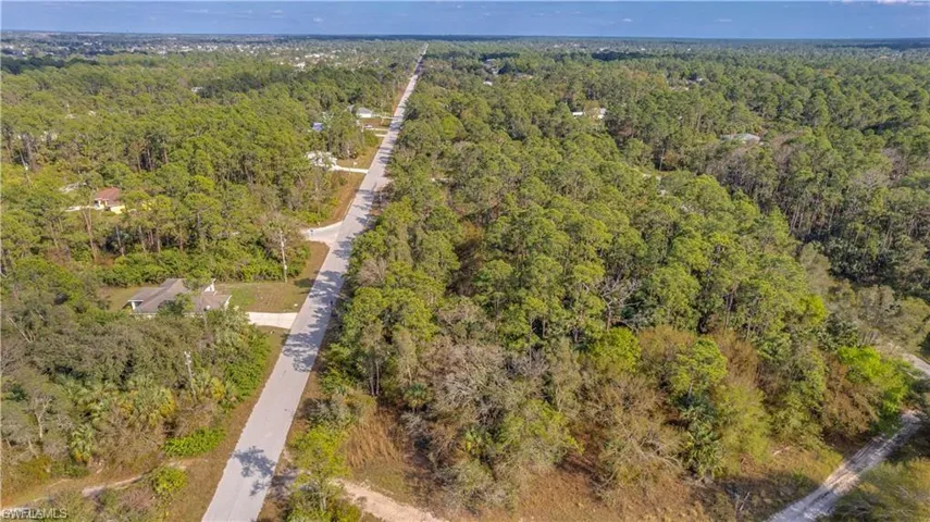 Aerial view of a forest