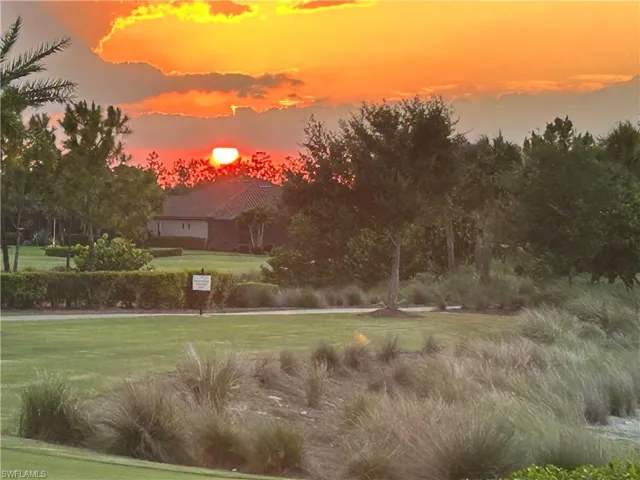 View of yard at dusk