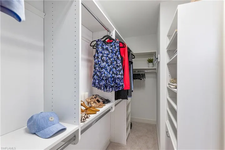 Spacious closet featuring light carpet